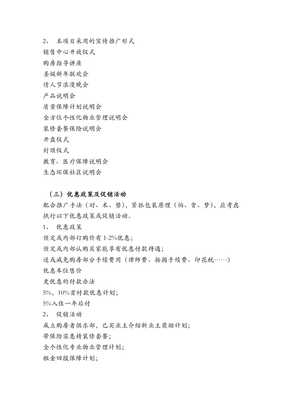 房地產(chǎn)經(jīng)紀公司項目策劃報告